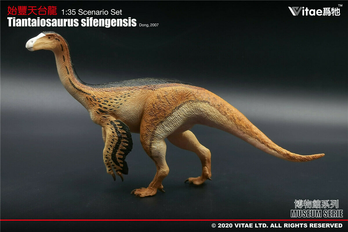 Vitae 1:35 Scale Tiantaiosaurus sifengensis Dong Model Dinosaur Toys Animal Collector Animal Adults Gift