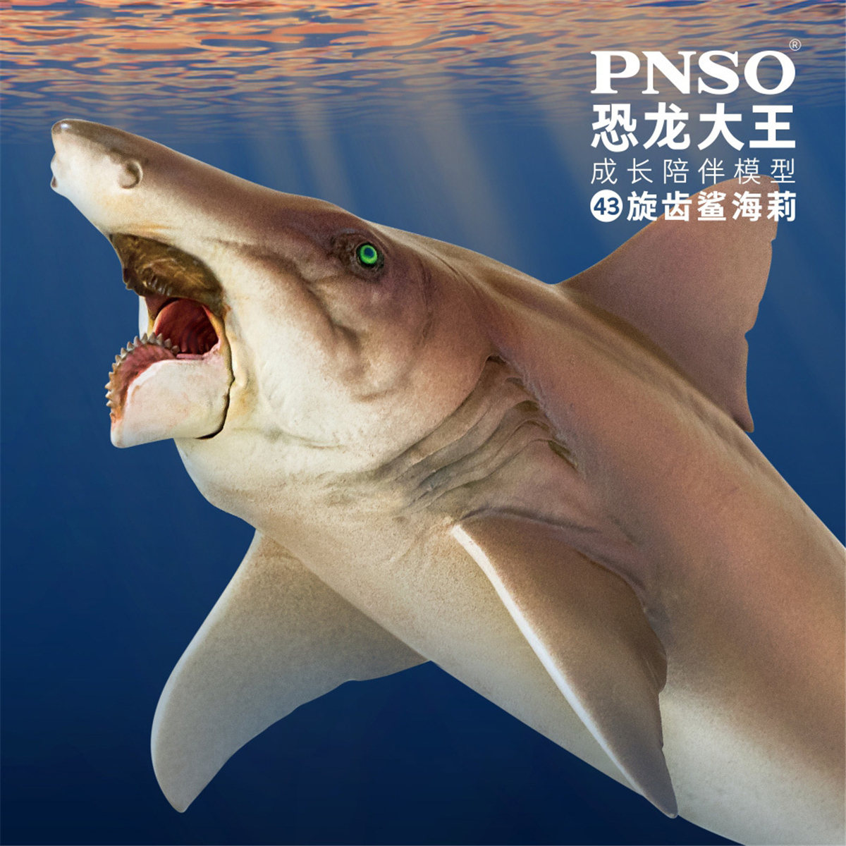 IN STOCK! PNSO Helicoprion Haylee Figure Edestidae Shark Model Collector Animal Adult Toy Decoration Gift