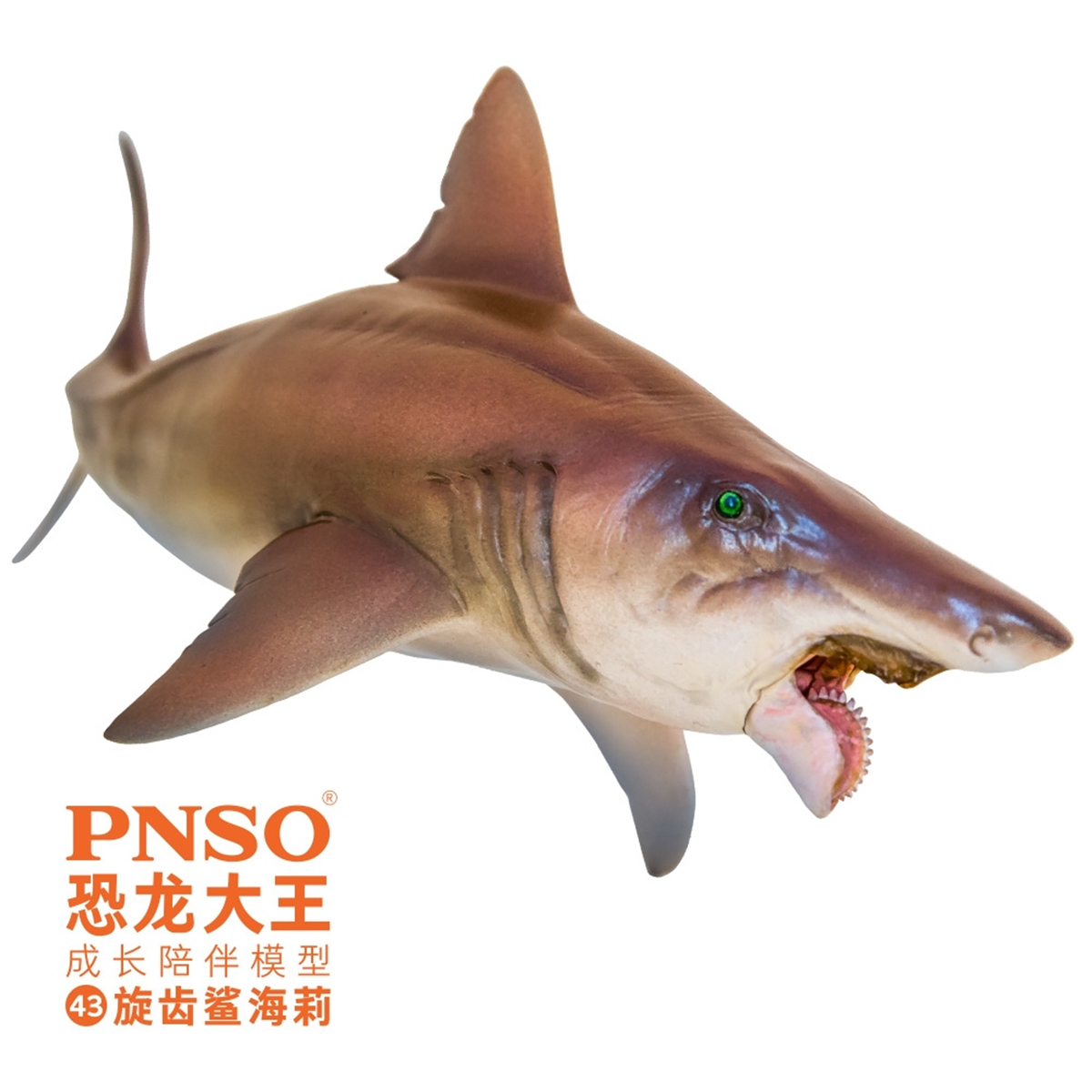 IN STOCK! PNSO Helicoprion Haylee Figure Edestidae Shark Model Collector Animal Adult Toy Decoration Gift