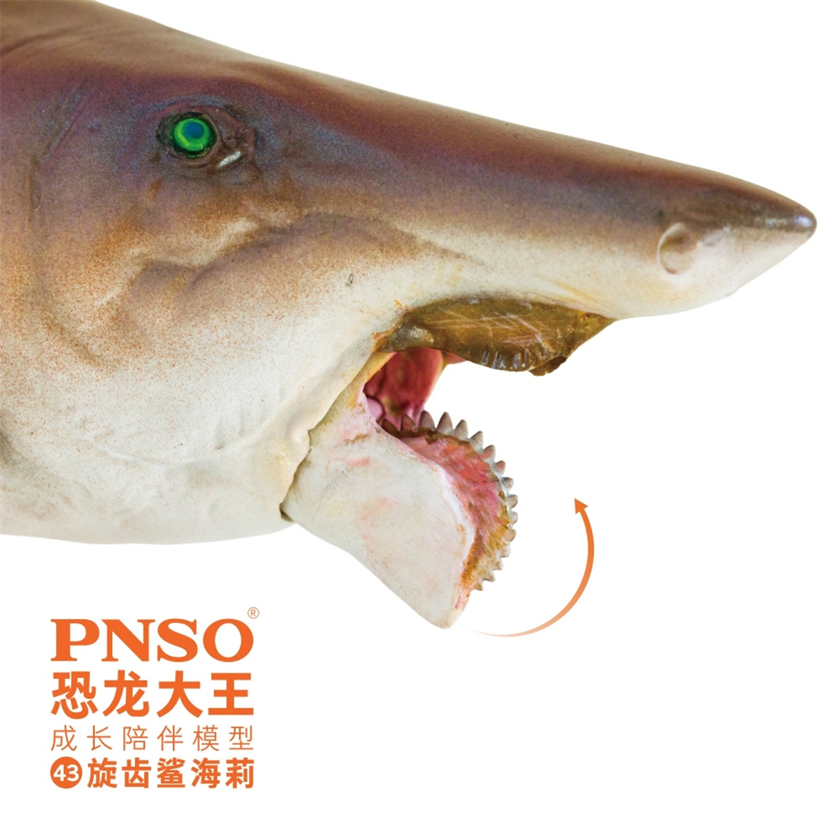IN STOCK! PNSO Helicoprion Haylee Figure Edestidae Shark Model Collector Animal Adult Toy Decoration Gift