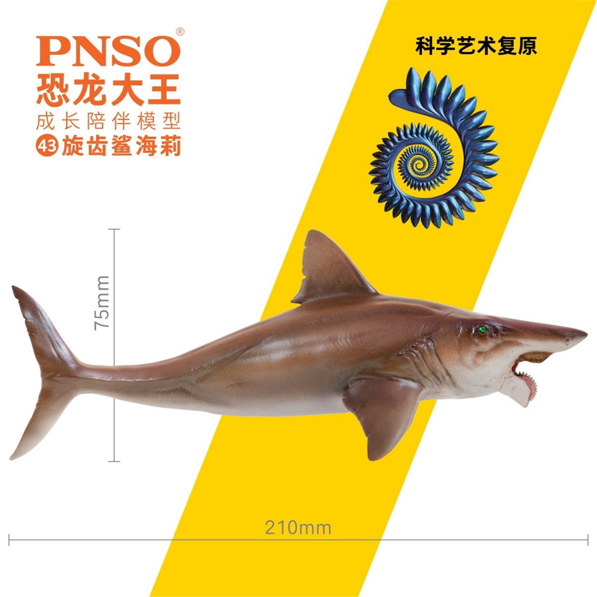 IN STOCK! PNSO Helicoprion Haylee Figure Edestidae Shark Model Collector Animal Adult Toy Decoration Gift