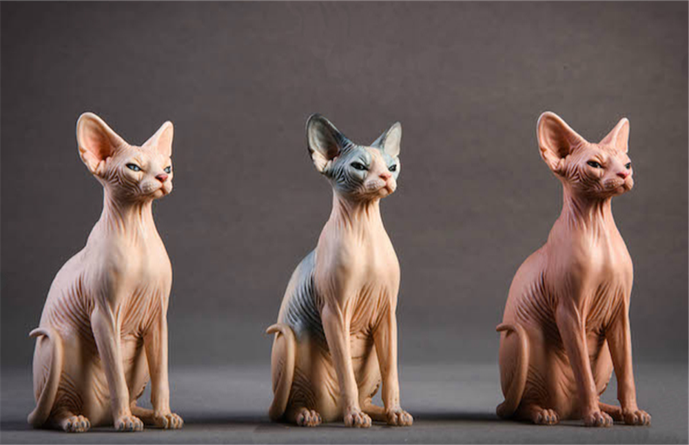 JxK 1:6 Scale Canadian Hairless Cat Pet Sphynx Healing Figure Felidae Animal Collector Toy Resin Desktop Decoration Gift