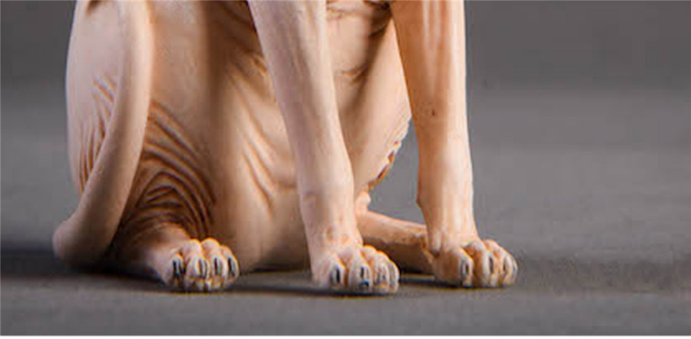 JxK 1:6 Scale Canadian Hairless Cat Pet Sphynx Healing Figure Felidae Animal Collector Toy Resin Desktop Decoration Gift