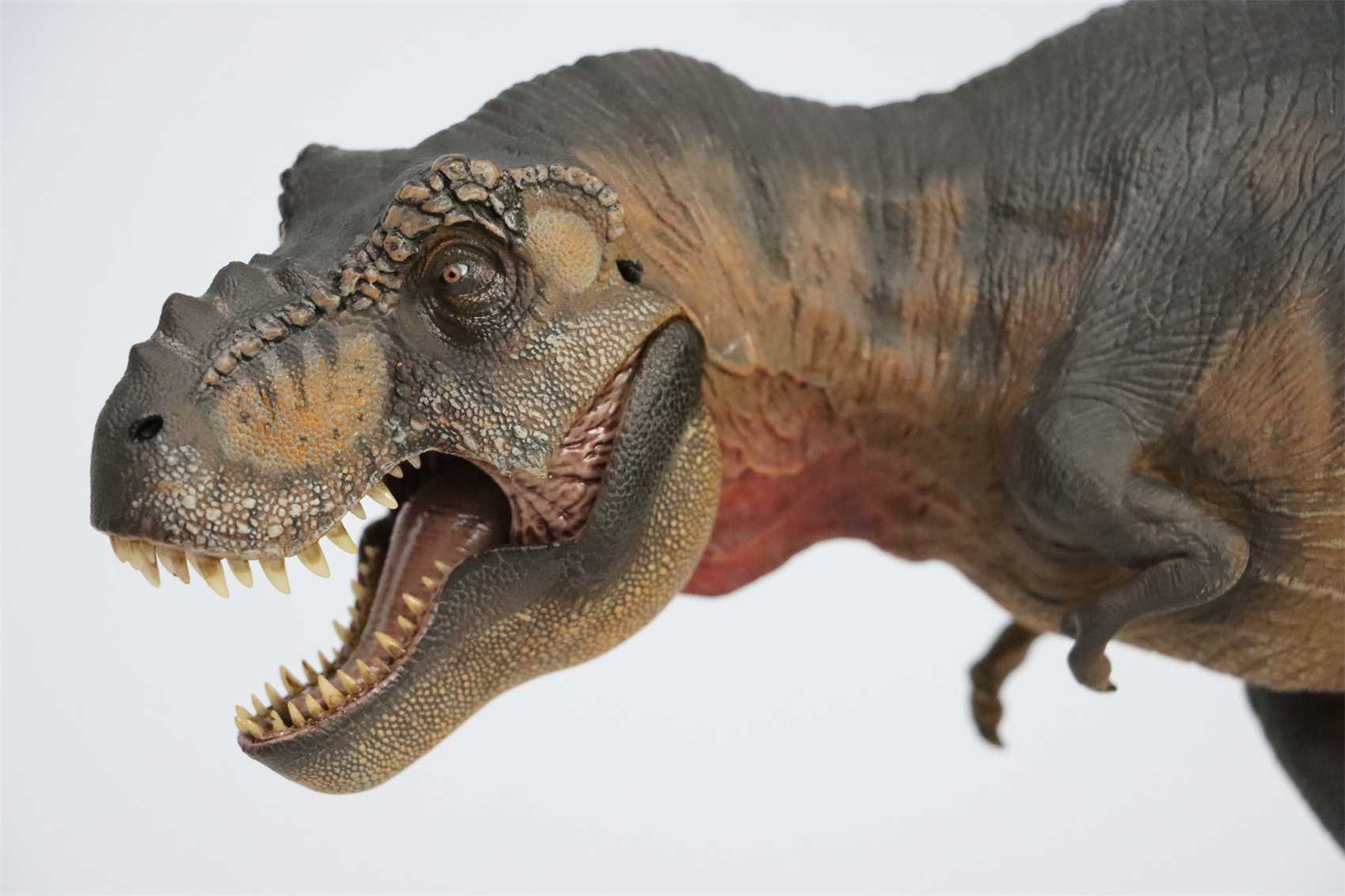 Nanmu 1:35 Tyrannosaurus Rex The Once and Future King Obsidian Mountains Figure T-Rex Trex Dinosaur Toy Animal Model