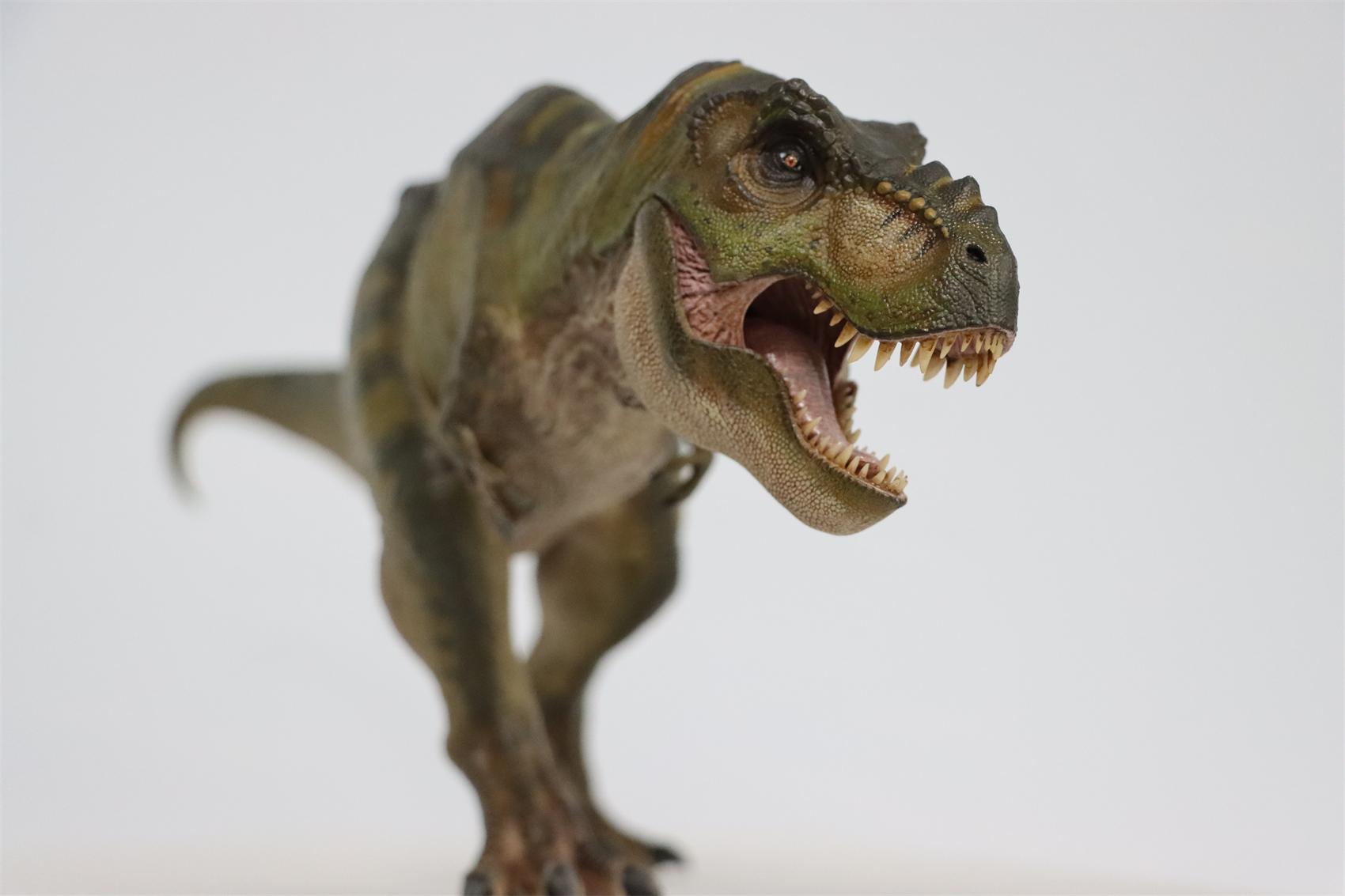 Nanmu 1:35 Tyrannosaurus Rex The Once and Future King Obsidian ...