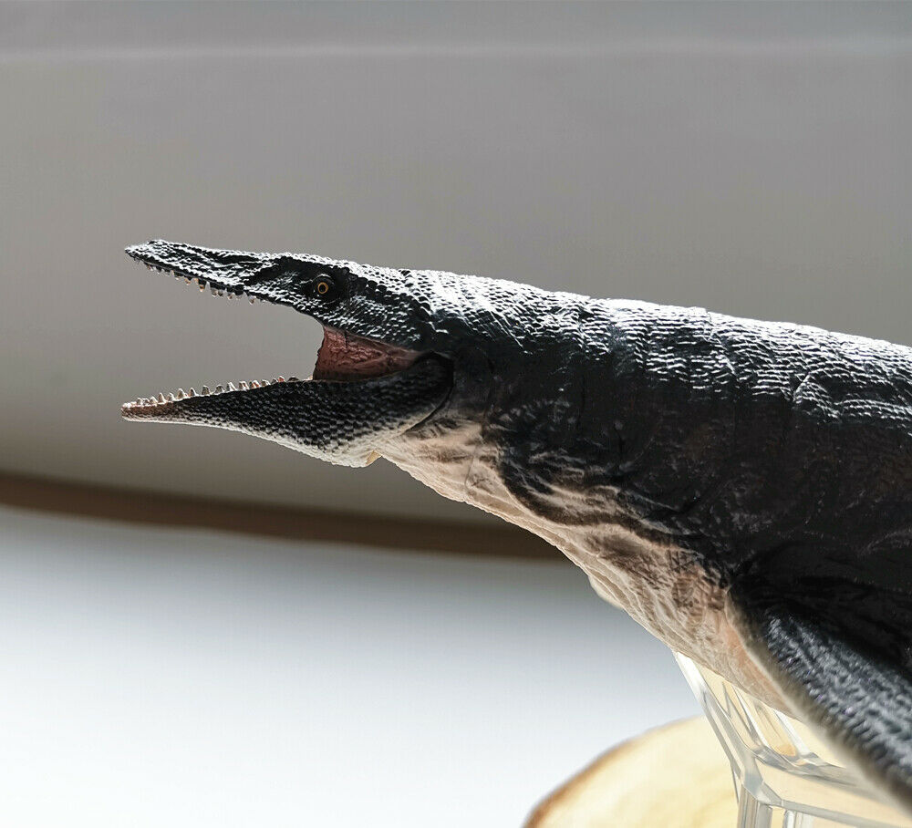 PNSO 1:35 Mosasaurus Figure Jurassic Dinosaur Mososaurs Ocean Animal Model Adult Kids Collection Toys Gift Home Decor PNSO 1:35 Mosasaurus Figure Jurassic Dinosaur Mososaurs Ocean Animal Model Adult Kids Collection Toys Gift Home Decor