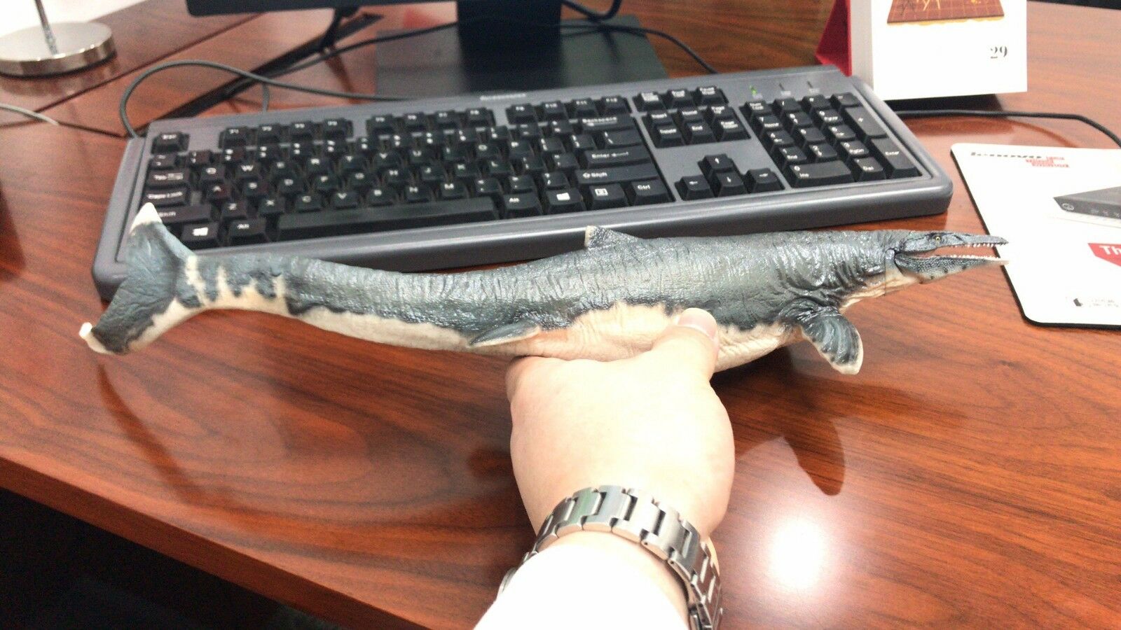 PNSO 1:35 Mosasaurus Figure Jurassic Dinosaur Mososaurs Ocean Animal Model Adult Kids Collection Toys Gift Home Decor PNSO 1:35 Mosasaurus Figure Jurassic Dinosaur Mososaurs Ocean Animal Model Adult Kids Collection Toys Gift Home Decor