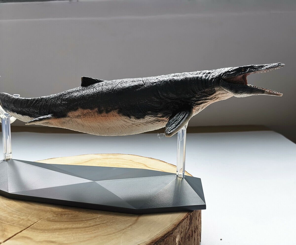 PNSO 1:35 Mosasaurus Figure Jurassic Dinosaur Mososaurs Ocean Animal Model Adult Kids Collection Toys Gift Home Decor PNSO 1:35 Mosasaurus Figure Jurassic Dinosaur Mososaurs Ocean Animal Model Adult Kids Collection Toys Gift Home Decor