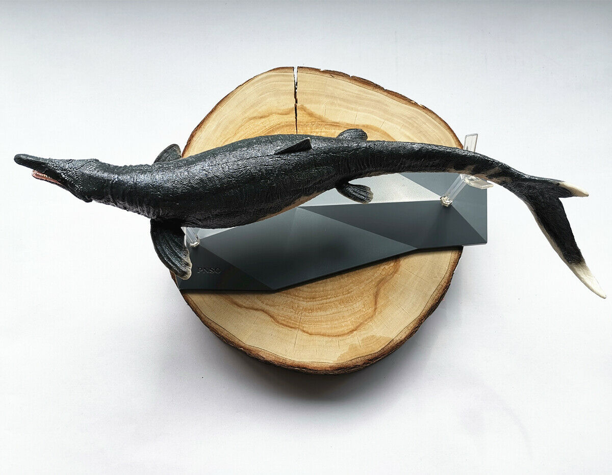 PNSO 1:35 Mosasaurus Figure Jurassic Dinosaur Mososaurs Ocean Animal Model Adult Kids Collection Toys Gift Home Decor PNSO 1:35 Mosasaurus Figure Jurassic Dinosaur Mososaurs Ocean Animal Model Adult Kids Collection Toys Gift Home Decor