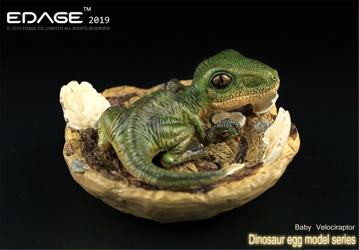 EDAGE Velociraptor Baby Egg Figure Dinosaur Toys Animal Collector Decoration Adults Gift EDAGE Velociraptor Baby Egg Figure Dinosaur Toys Animal Collector Decoration Adults Gift