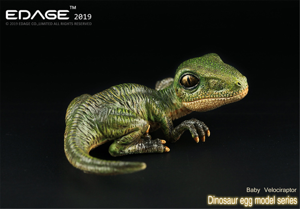 EDAGE Velociraptor Baby Egg Figure Dinosaur Toys Animal Collector Decoration Adults Gift EDAGE Velociraptor Baby Egg Figure Dinosaur Toys Animal Collector Decoration Adults Gift
