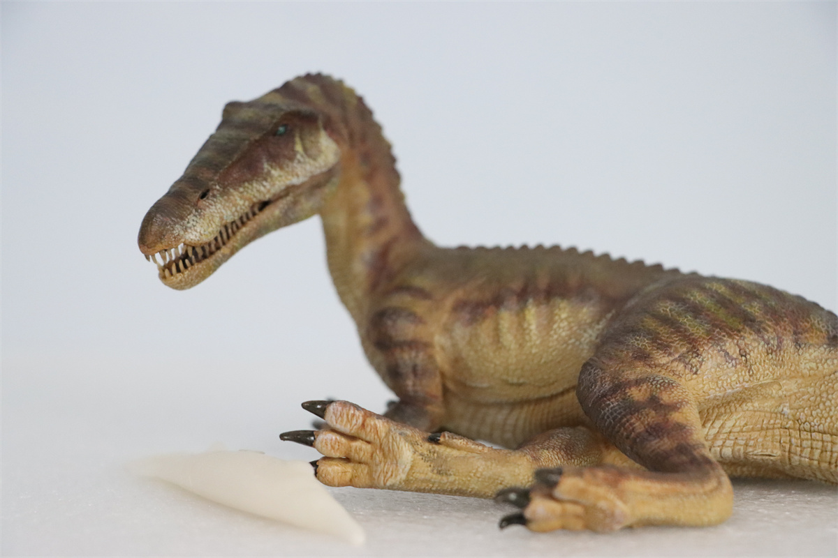 Nanmu Studio 1/35 Baryonyx Santiago Calypso Figure Spinosauridae Dinosaur Toy Animal Model Christmas Kids Gift Decoration Nanmu Studio 1/35 Baryonyx Santiago Calypso Figure Spinosauridae Dinosaur Toy Animal Model Christmas Kids Gift Decoration