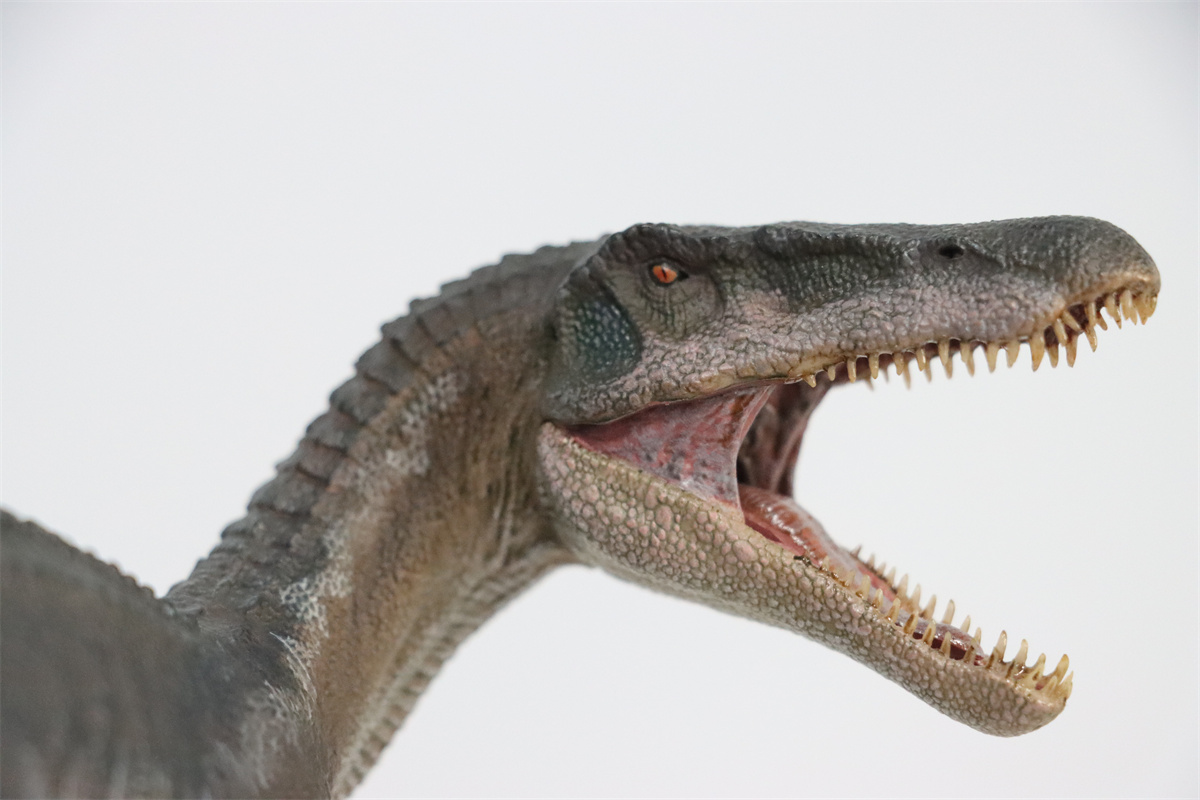 Nanmu Studio 1/35 Baryonyx Santiago Calypso Figure Spinosauridae Dinosaur Toy Animal Model Christmas Kids Gift Decoration Nanmu Studio 1/35 Baryonyx Santiago Calypso Figure Spinosauridae Dinosaur Toy Animal Model Christmas Kids Gift Decoration