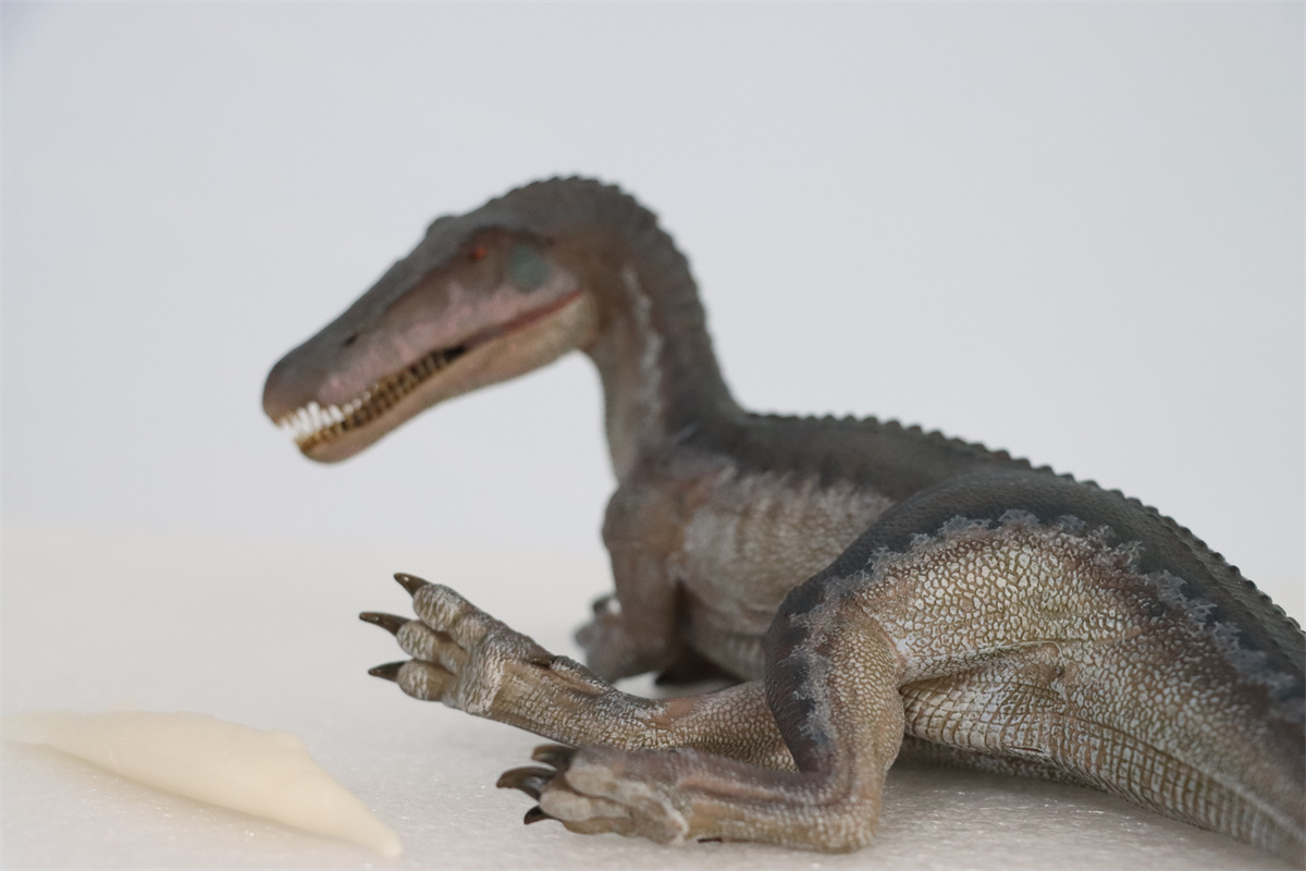 Nanmu Studio 1/35 Baryonyx Santiago Calypso Figure Spinosauridae Dinosaur Toy Animal Model Christmas Kids Gift Decoration Nanmu Studio 1/35 Baryonyx Santiago Calypso Figure Spinosauridae Dinosaur Toy Animal Model Christmas Kids Gift Decoration