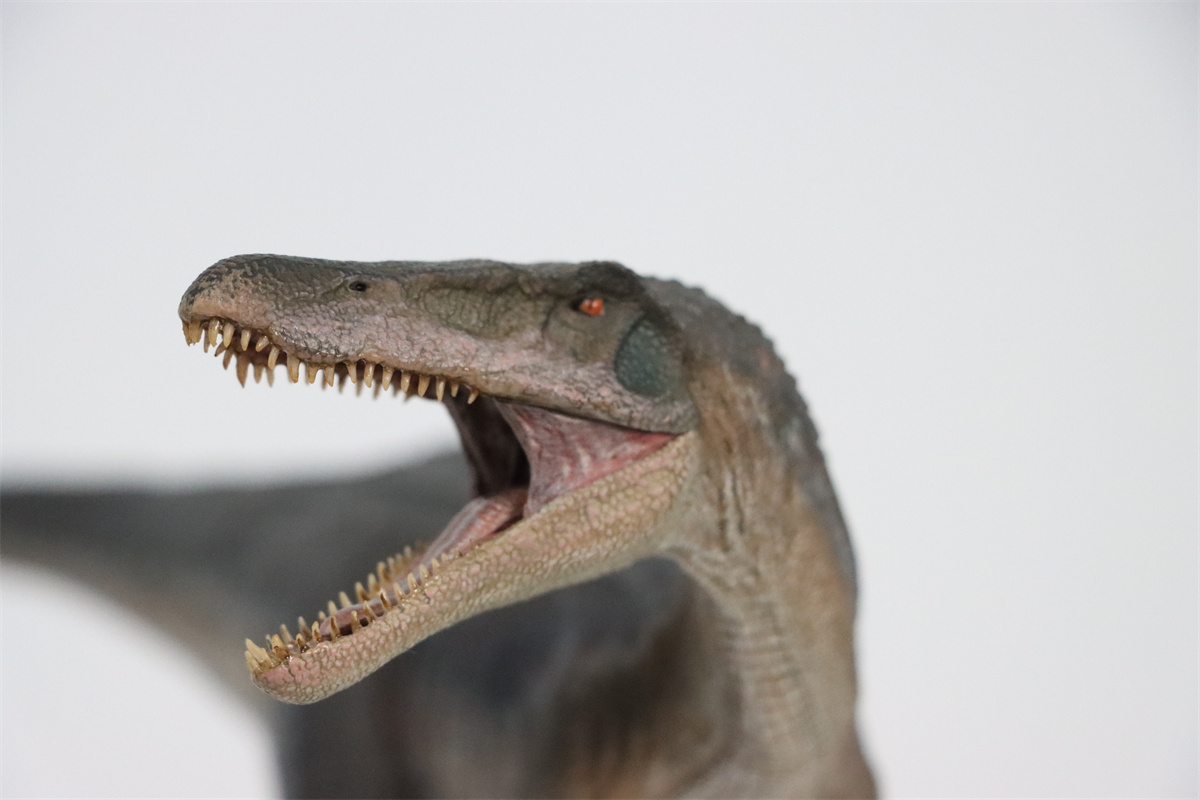 Nanmu Studio 1/35 Baryonyx Santiago Calypso Figure Spinosauridae Dinosaur Toy Animal Model Christmas Kids Gift Decoration Nanmu Studio 1/35 Baryonyx Santiago Calypso Figure Spinosauridae Dinosaur Toy Animal Model Christmas Kids Gift Decoration