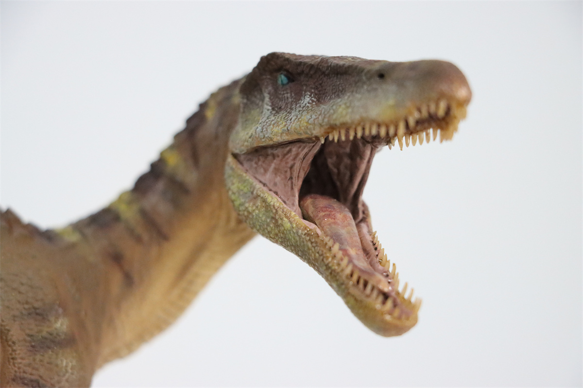 Nanmu Studio 1/35 Baryonyx Santiago Calypso Figure Spinosauridae Dinosaur Toy Animal Model Christmas Kids Gift Decoration Nanmu Studio 1/35 Baryonyx Santiago Calypso Figure Spinosauridae Dinosaur Toy Animal Model Christmas Kids Gift Decoration