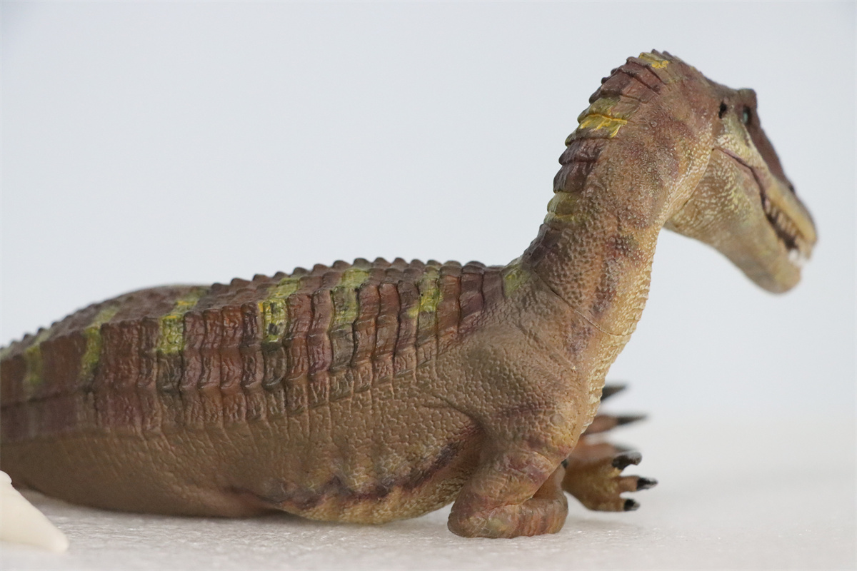 Nanmu Studio 1/35 Baryonyx Santiago Calypso Figure Spinosauridae Dinosaur Toy Animal Model Christmas Kids Gift Decoration Nanmu Studio 1/35 Baryonyx Santiago Calypso Figure Spinosauridae Dinosaur Toy Animal Model Christmas Kids Gift Decoration