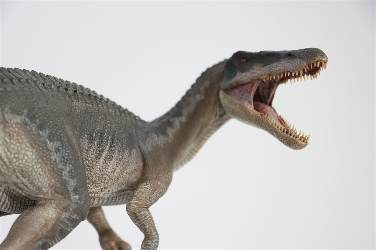 Nanmu Studio 1/35 Baryonyx Santiago Calypso Figure Spinosauridae Dinosaur Toy Animal Model Christmas Kids Gift Decoration Nanmu Studio 1/35 Baryonyx Santiago Calypso Figure Spinosauridae Dinosaur Toy Animal Model Christmas Kids Gift Decoration