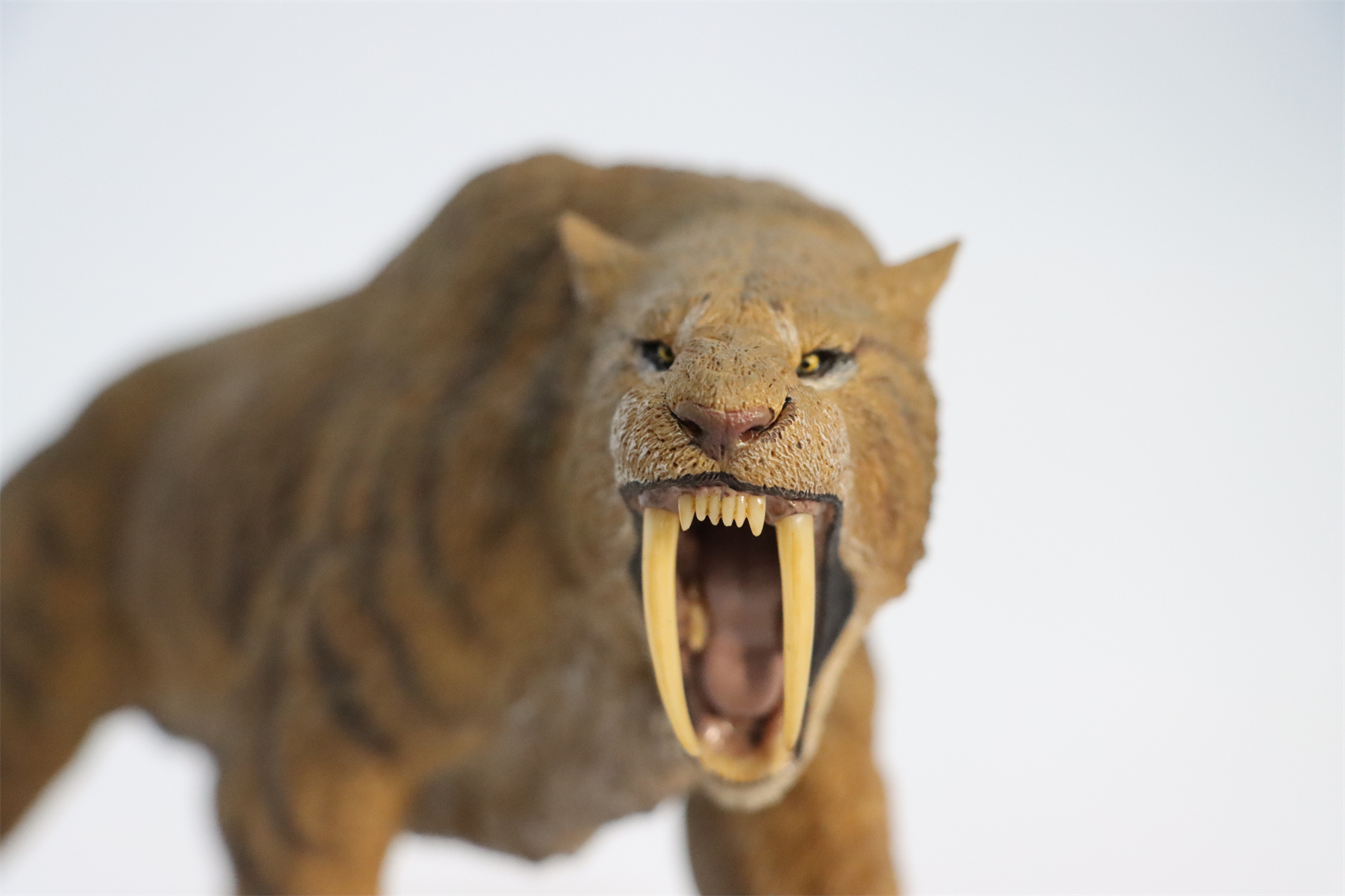 REBOR 1:11 Smilodon Populator Stray Cat Figure Ice Age Ver Plain Ver 2 Head Collector Toy Animal Model Christmas Decorations
