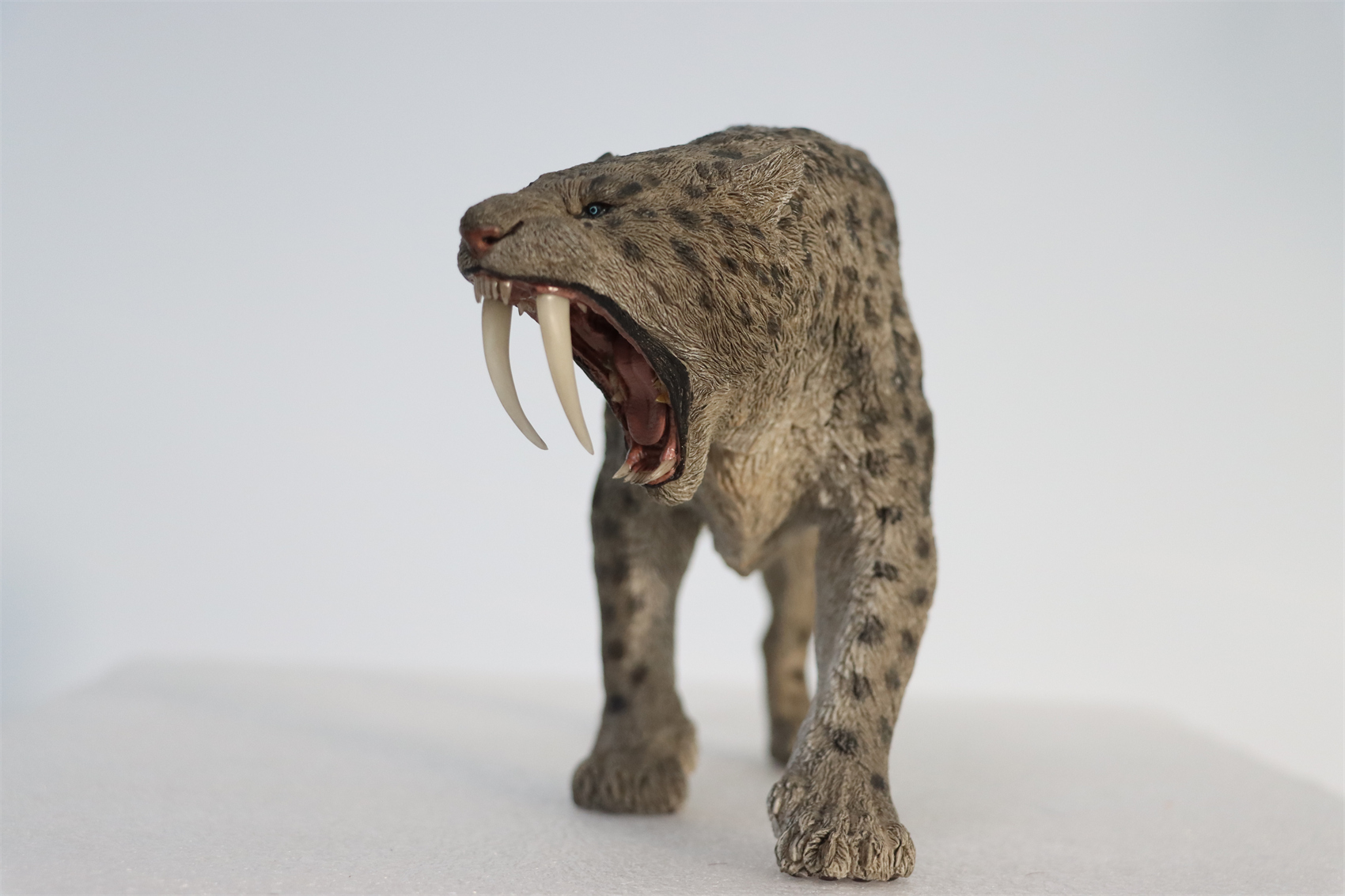 REBOR 1:11 Smilodon Populator Stray Cat Figure Ice Age Ver Plain Ver 2 Head Collector Toy Animal Model Christmas Decorations