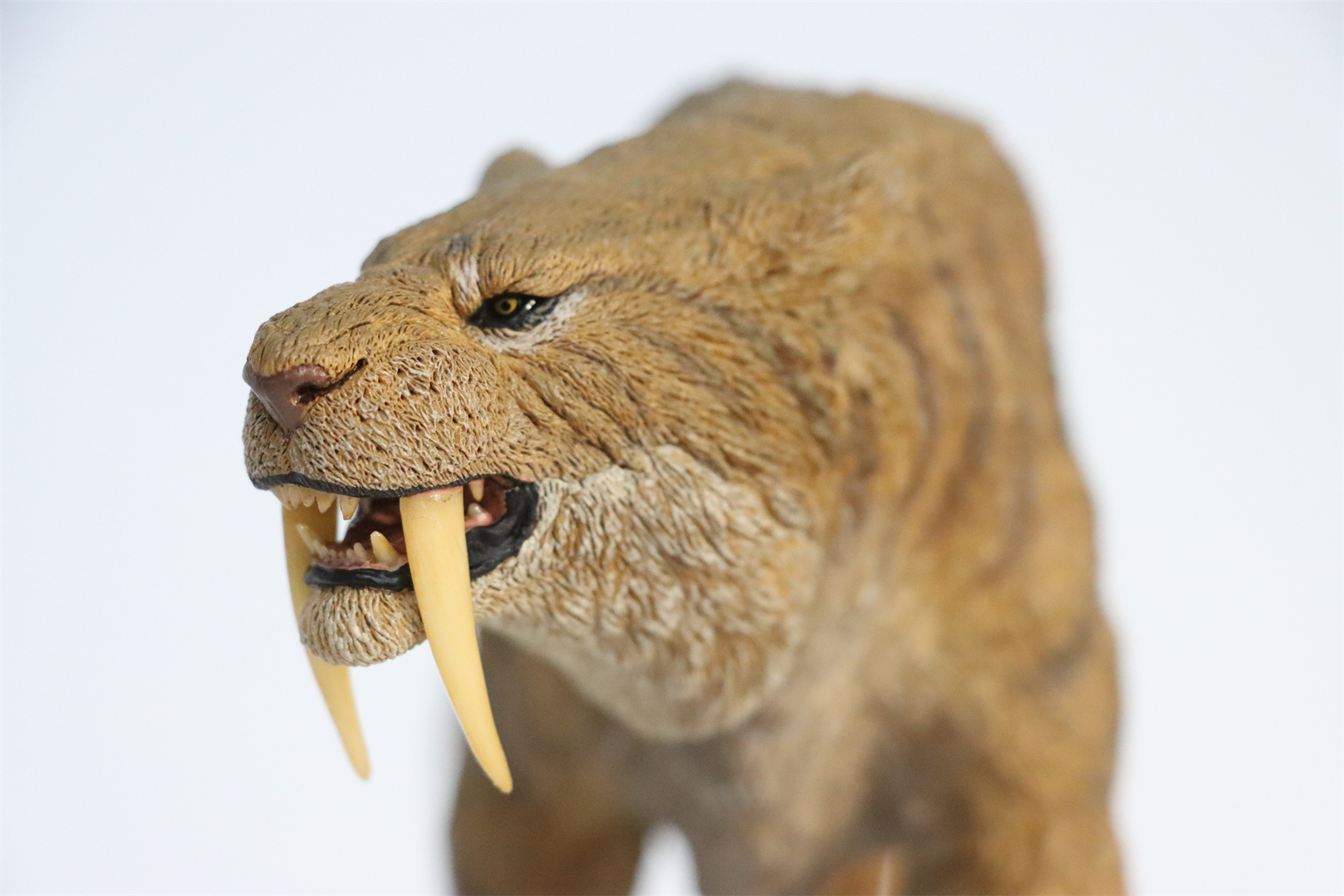 REBOR 1:11 Smilodon Populator Stray Cat Figure Ice Age Ver Plain Ver 2 Head Collector Toy Animal Model Christmas Decorations