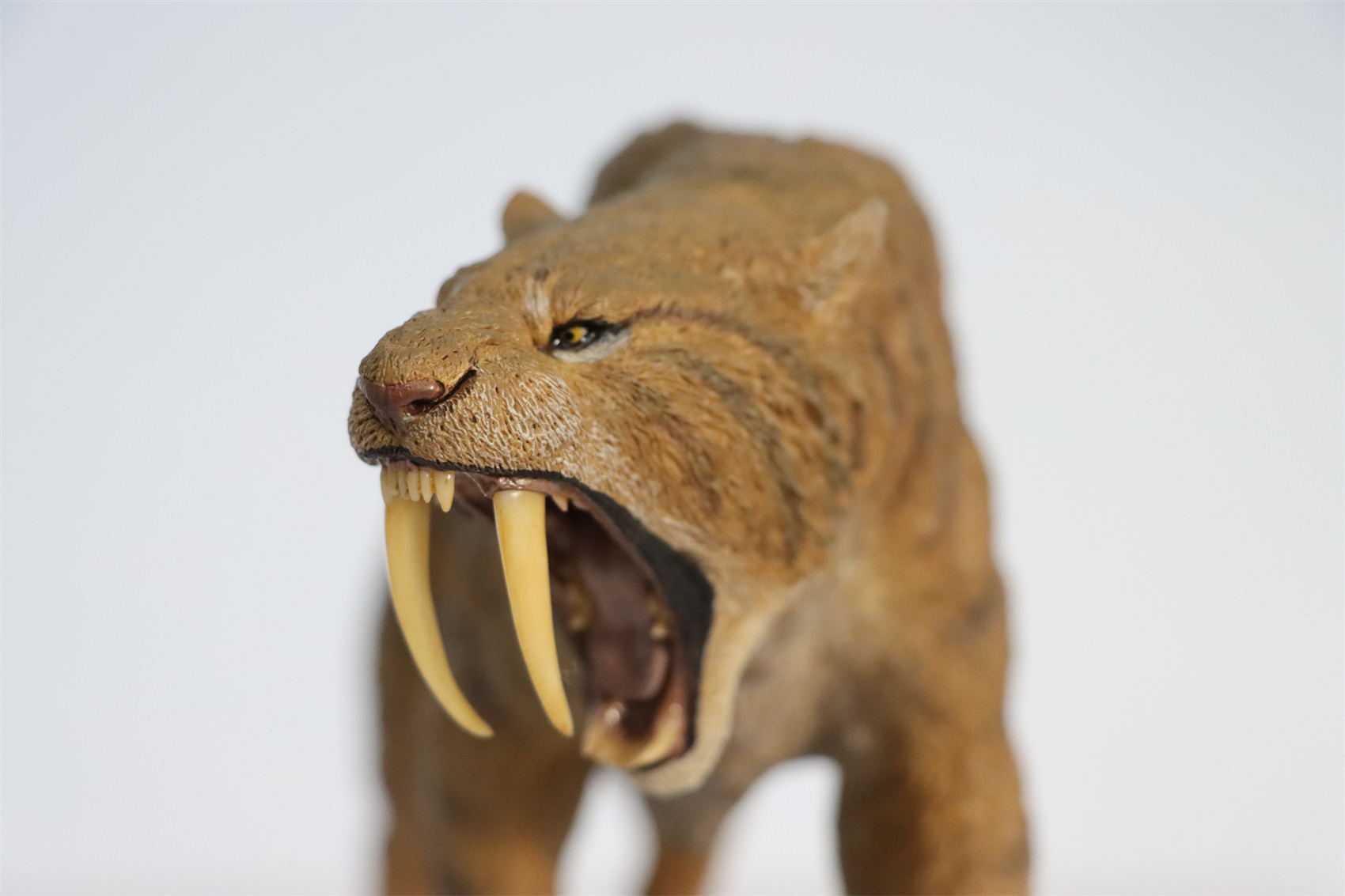 REBOR 1:11 Smilodon Populator Stray Cat Figure Ice Age Ver Plain Ver 2 Head Collector Toy Animal Model Christmas Decorations