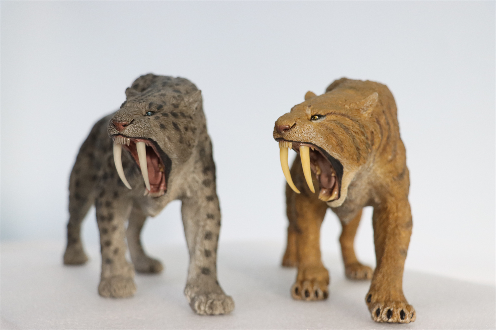 REBOR 1:11 Smilodon Populator Stray Cat Figure Ice Age Ver Plain Ver 2 Head Collector Toy Animal Model Christmas Decorations