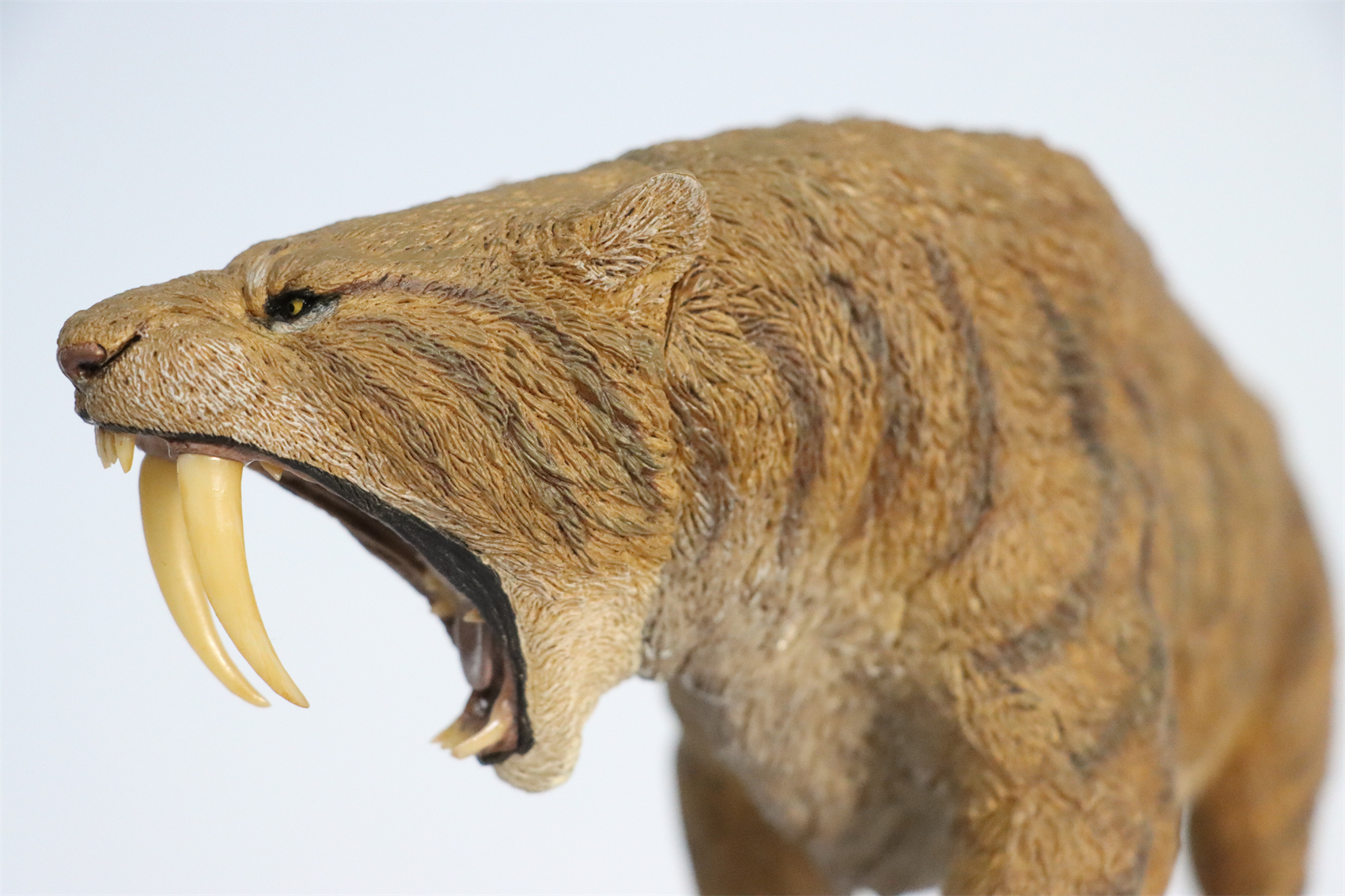 REBOR 1:11 Smilodon Populator Stray Cat Figure Ice Age Ver Plain Ver 2 Head Collector Toy Animal Model Christmas Decorations