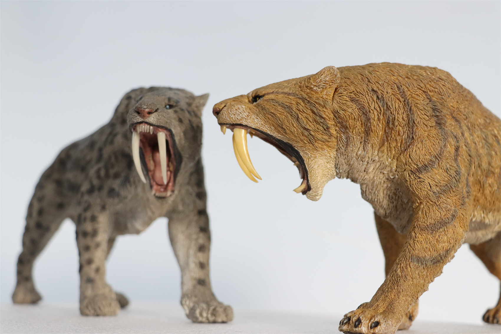 REBOR 1:11 Smilodon Populator Stray Cat Figure Ice Age Ver Plain Ver 2 Head Collector Toy Animal Model Christmas Decorations