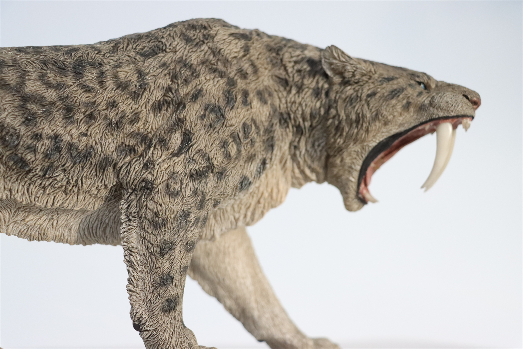 REBOR 1:11 Smilodon Populator Stray Cat Figure Ice Age Ver Plain Ver 2 Head Collector Toy Animal Model Christmas Decorations