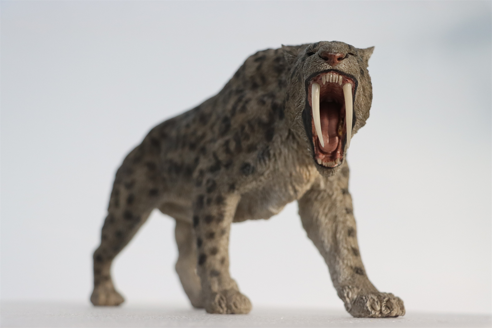 REBOR 1:11 Smilodon Populator Stray Cat Figure Ice Age Ver Plain Ver 2 Head Collector Toy Animal Model Christmas Decorations