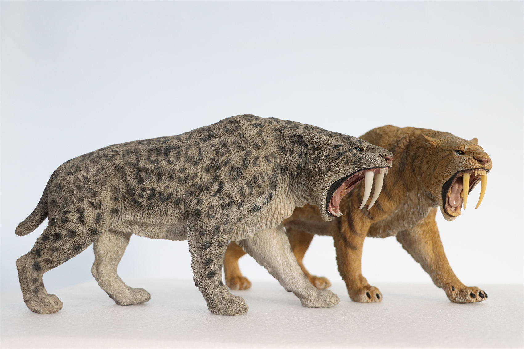 REBOR 1:11 Smilodon Populator Stray Cat Figure Ice Age Ver Plain Ver 2 Head Collector Toy Animal Model Christmas Decorations