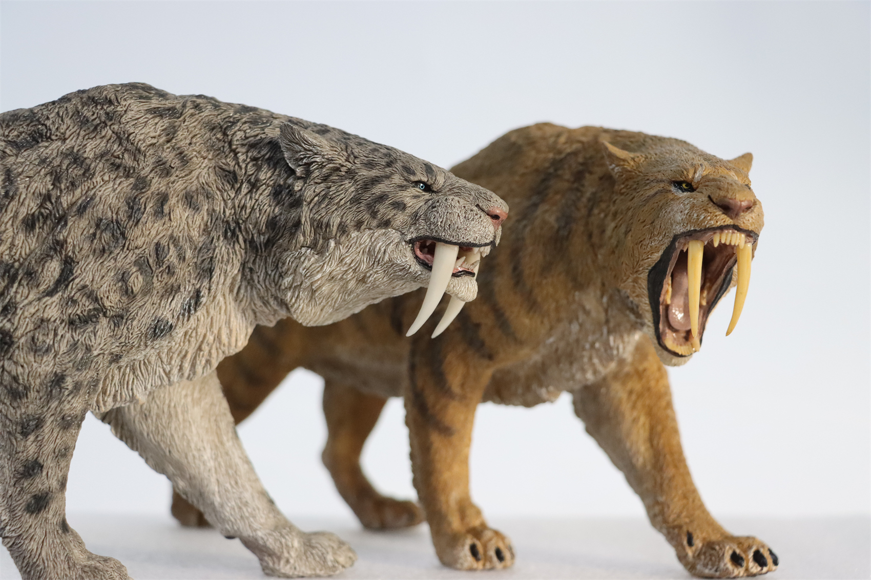 REBOR 1:11 Smilodon Populator Stray Cat Figure Ice Age Ver Plain Ver 2 Head Collector Toy Animal Model Christmas Decorations