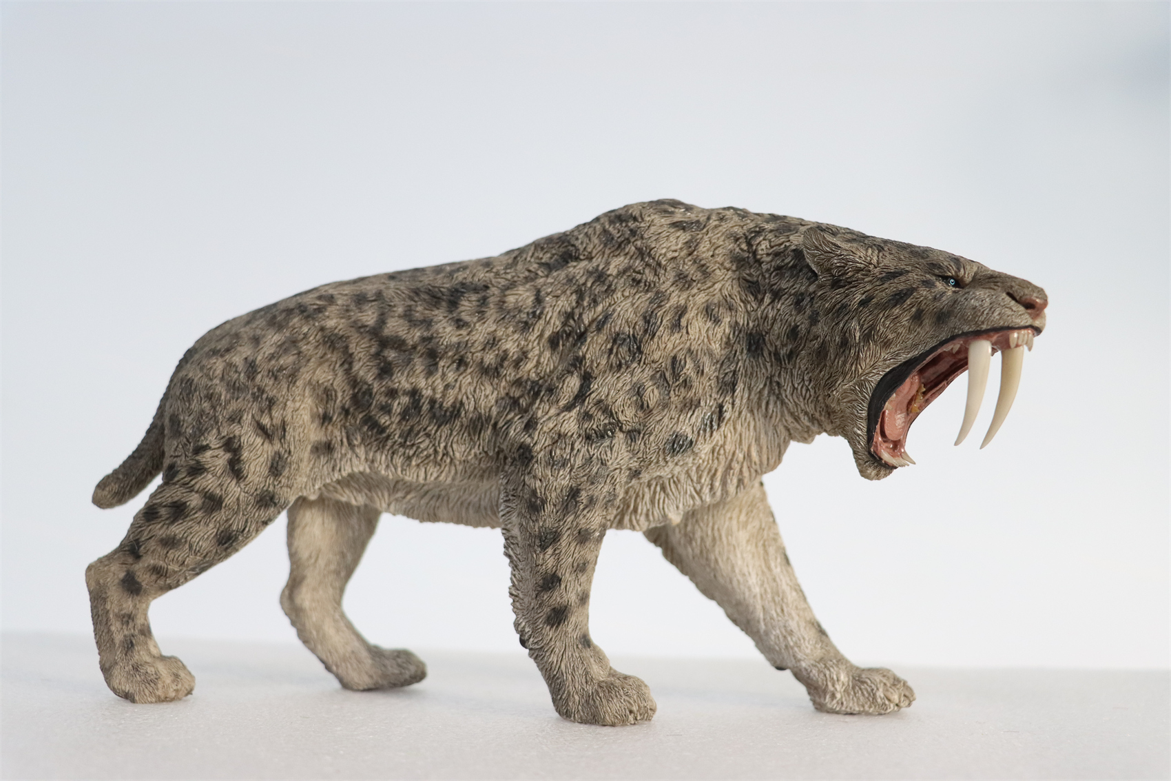 REBOR 1:11 Smilodon Populator Stray Cat Figure Ice Age Ver Plain Ver 2 Head Collector Toy Animal Model Christmas Decorations