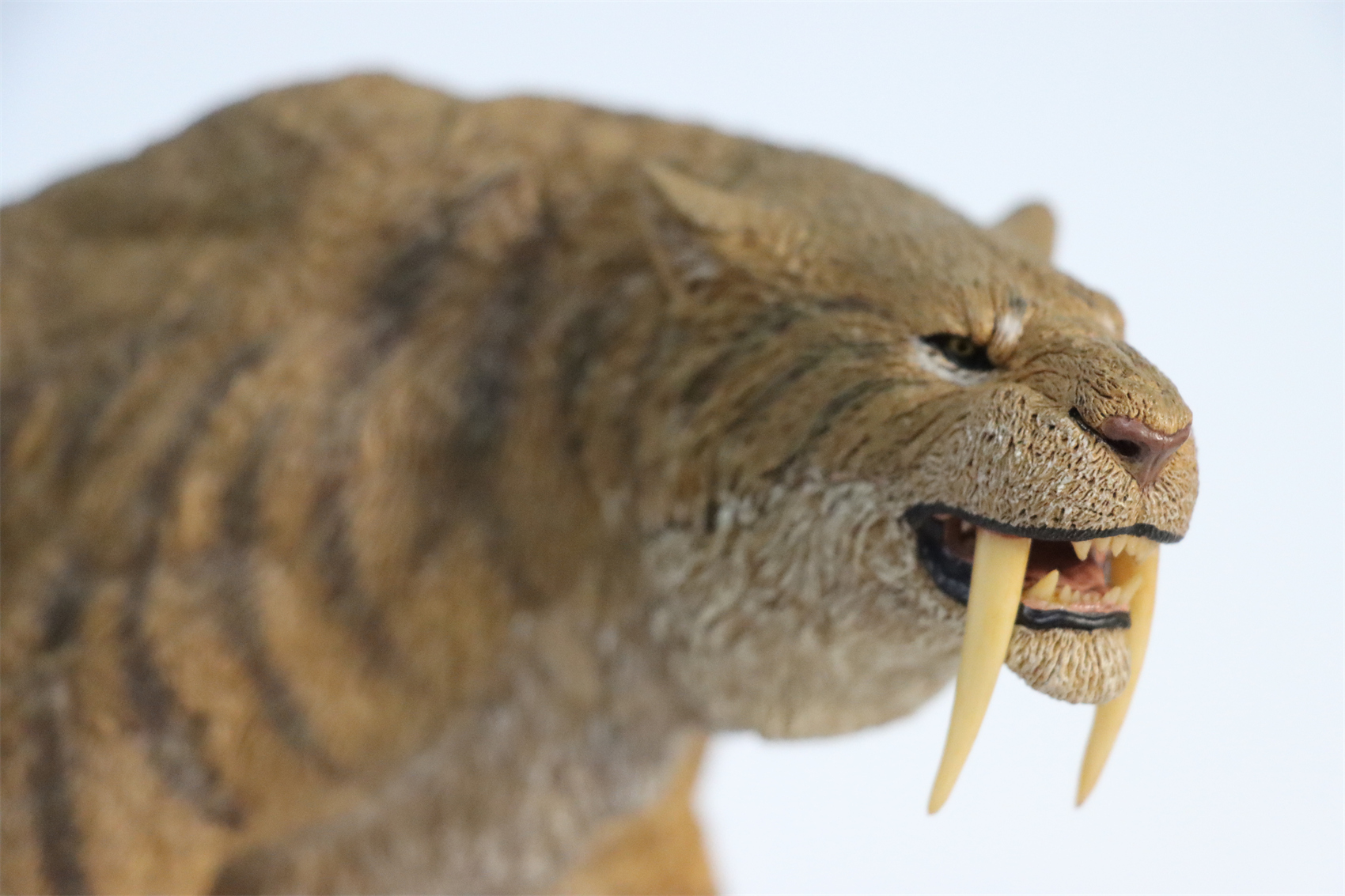 REBOR 1:11 Smilodon Populator Stray Cat Figure Ice Age Ver Plain Ver 2 Head Collector Toy Animal Model Christmas Decorations