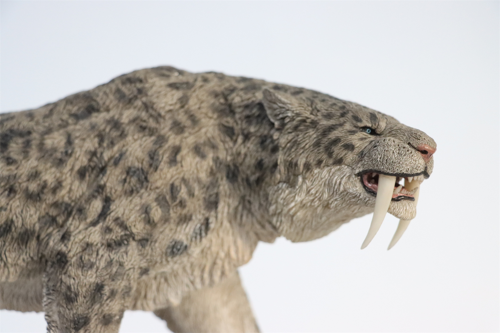 REBOR 1:11 Smilodon Populator Stray Cat Figure Ice Age Ver Plain Ver 2 Head Collector Toy Animal Model Christmas Decorations