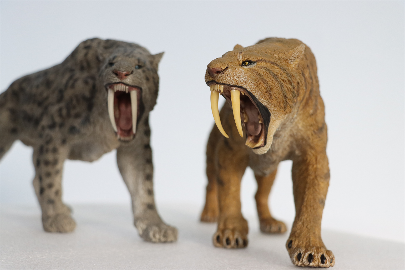 REBOR 1:11 Smilodon Populator Stray Cat Figure Ice Age Ver Plain Ver 2 Head Collector Toy Animal Model Christmas Decorations