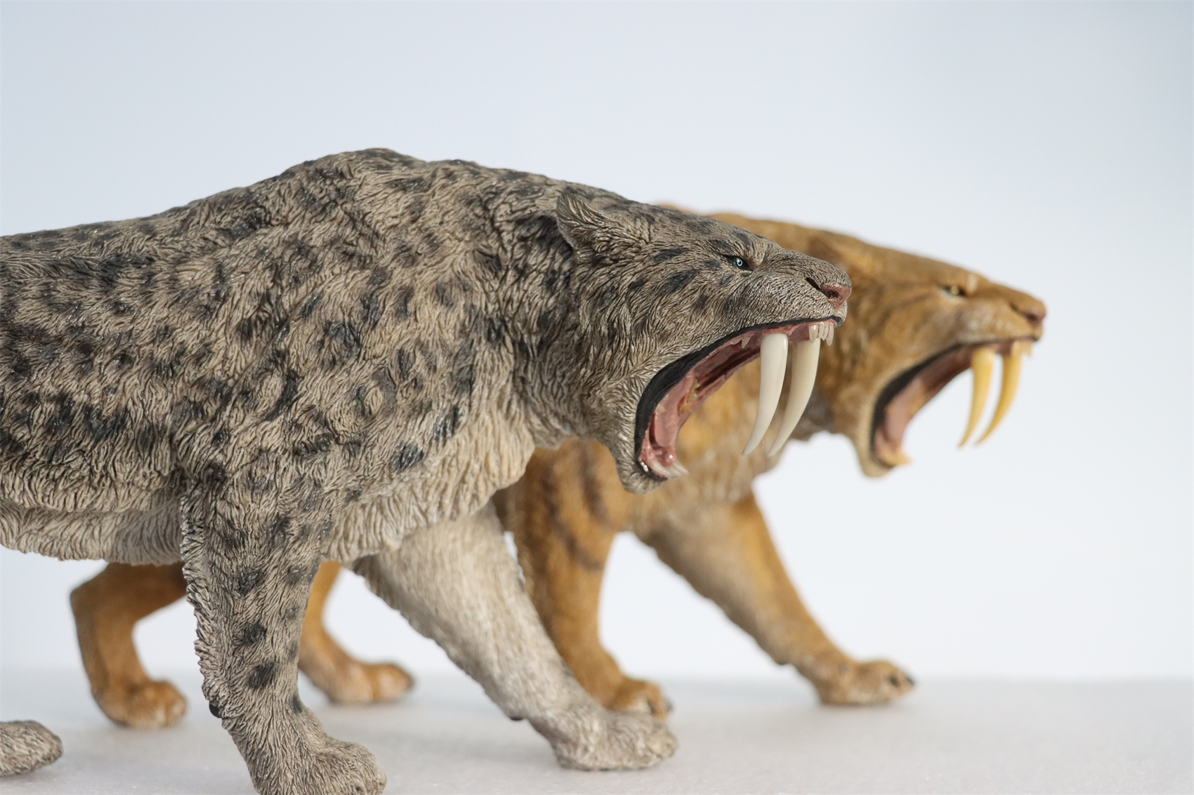 REBOR 1:11 Smilodon Populator Stray Cat Figure Ice Age Ver Plain Ver 2 Head Collector Toy Animal Model Christmas Decorations
