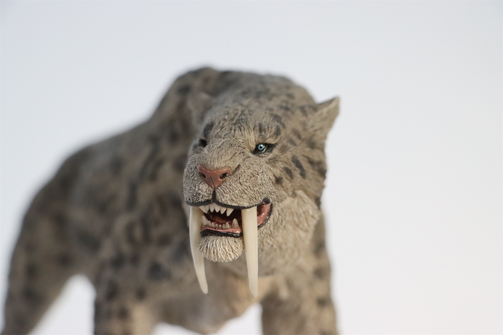 REBOR 1:11 Smilodon Populator Stray Cat Figure Ice Age Ver Plain Ver 2 Head Collector Toy Animal Model Christmas Decorations