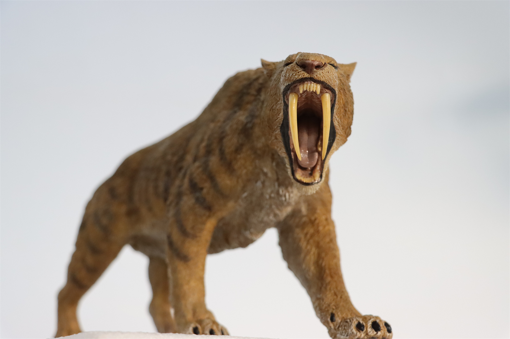 REBOR 1:11 Smilodon Populator Stray Cat Figure Ice Age Ver Plain Ver 2 Head Collector Toy Animal Model Christmas Decorations