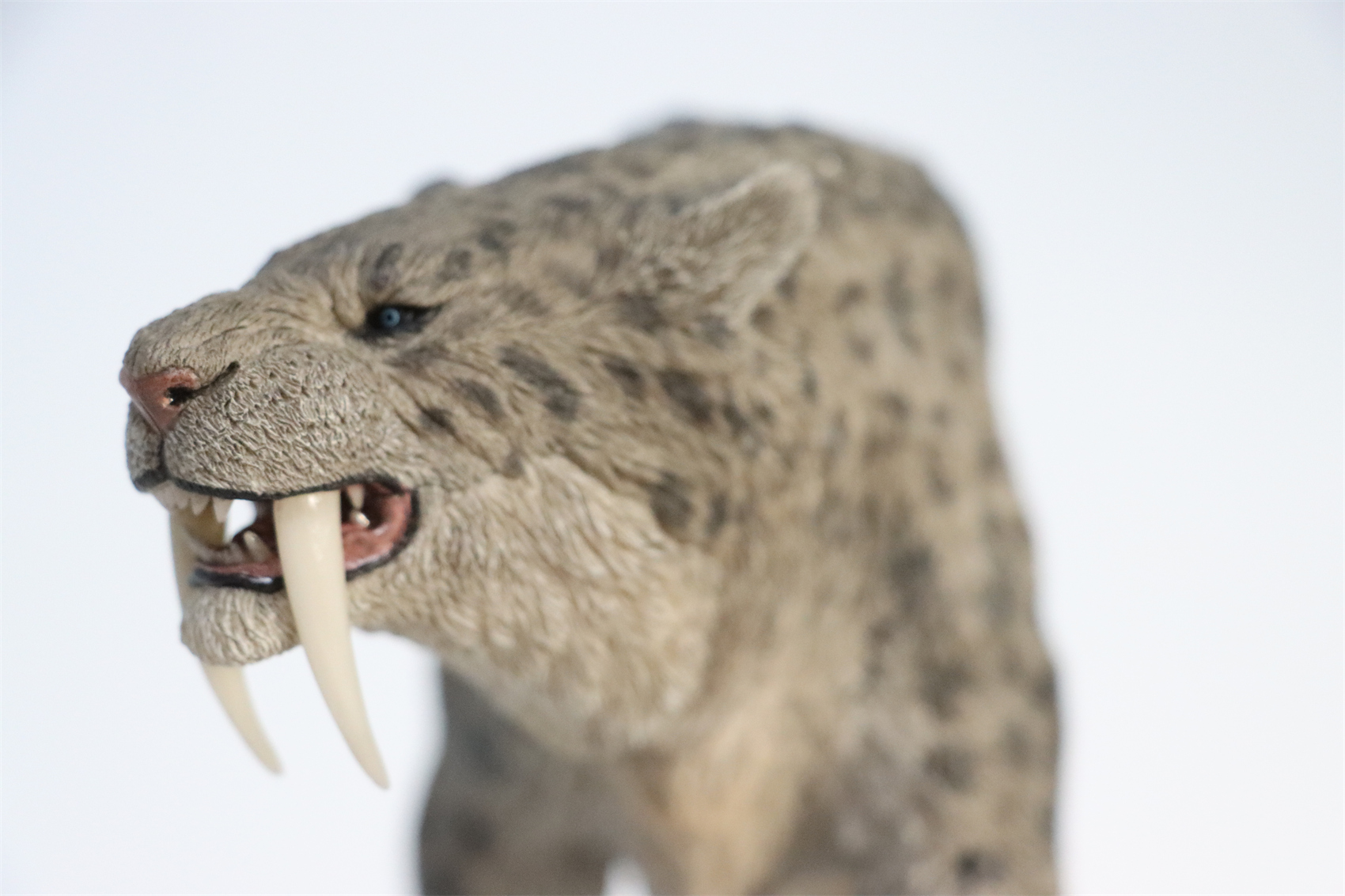REBOR 1:11 Smilodon Populator Stray Cat Figure Ice Age Ver Plain Ver 2 Head Collector Toy Animal Model Christmas Decorations
