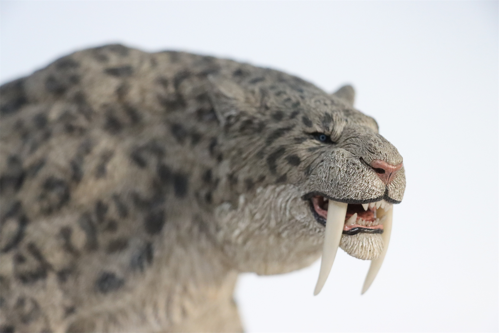 REBOR 1:11 Smilodon Populator Stray Cat Figure Ice Age Ver Plain Ver 2 Head Collector Toy Animal Model Christmas Decorations