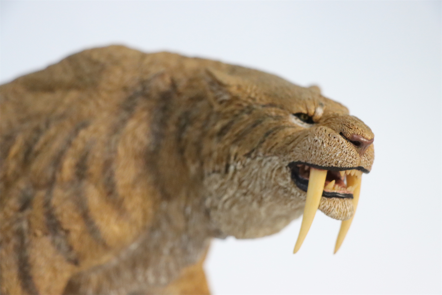 REBOR 1:11 Smilodon Populator Stray Cat Figure Ice Age Ver Plain Ver 2 Head Collector Toy Animal Model Christmas Decorations