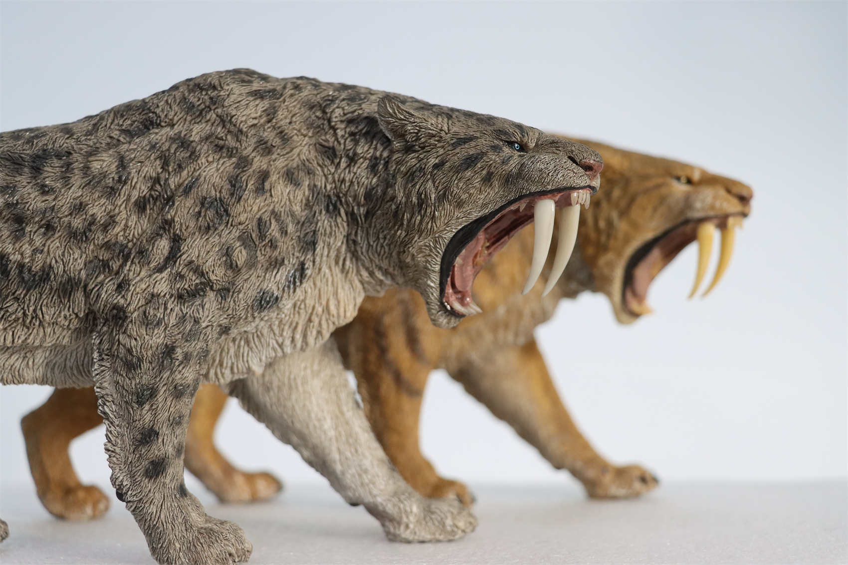 REBOR 1:11 Smilodon Populator Stray Cat Figure Ice Age Ver Plain Ver 2 Head Collector Toy Animal Model Christmas Decorations