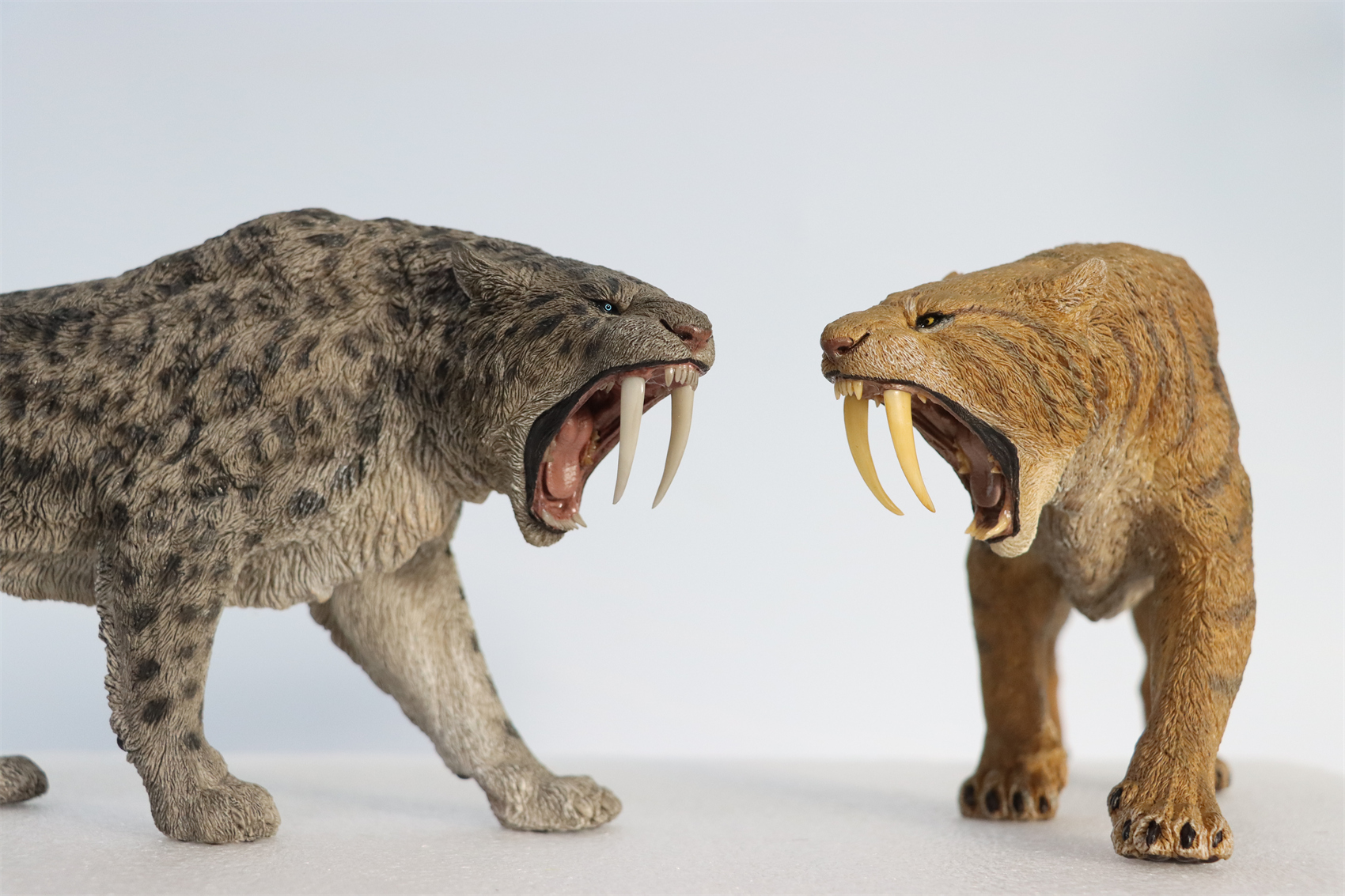REBOR 1:11 Smilodon Populator Stray Cat Figure Ice Age Ver Plain Ver 2 Head Collector Toy Animal Model Christmas Decorations