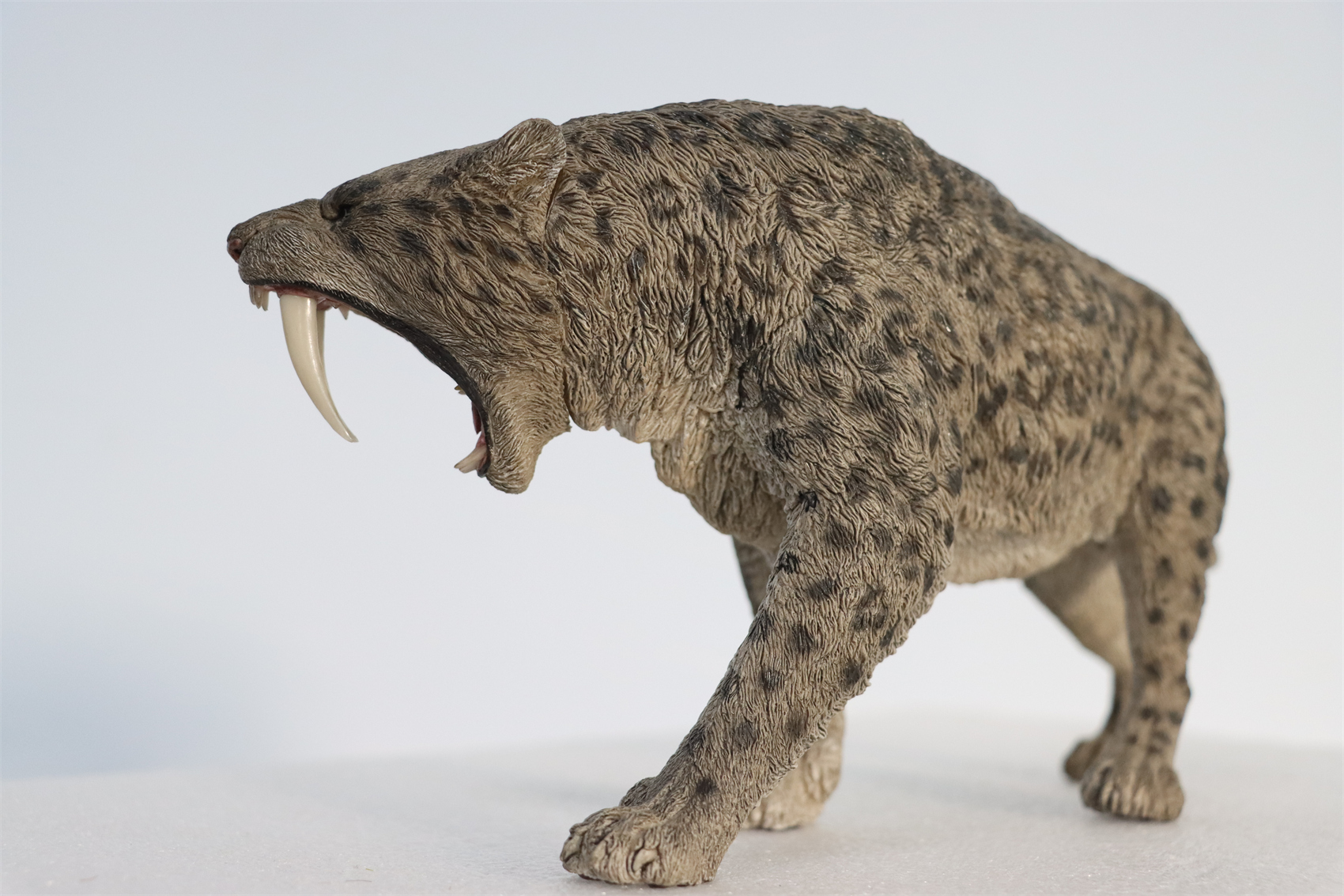 REBOR 1:11 Smilodon Populator Stray Cat Figure Ice Age Ver Plain Ver 2 Head Collector Toy Animal Model Christmas Decorations