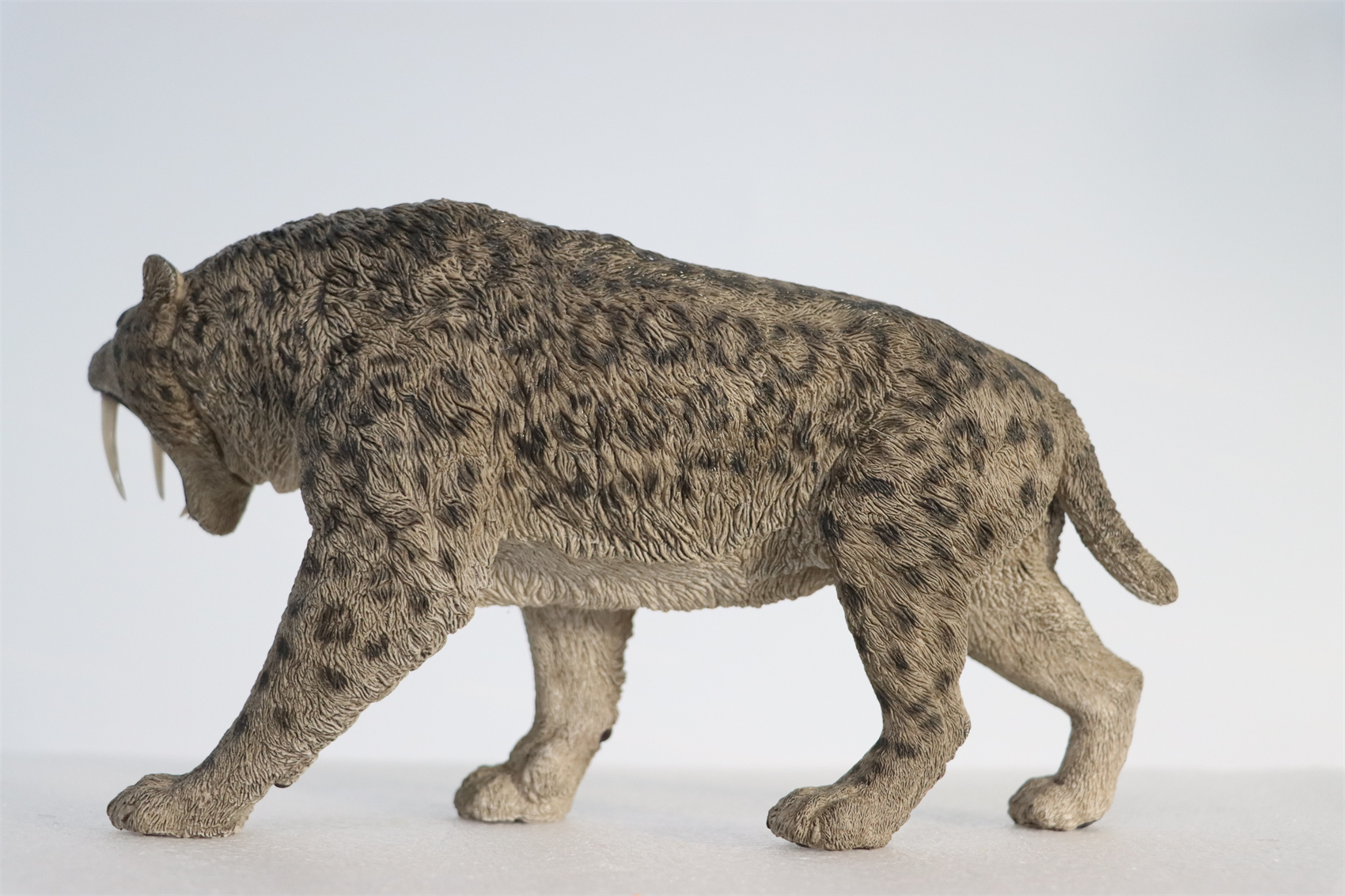 REBOR 1:11 Smilodon Populator Stray Cat Figure Ice Age Ver Plain Ver 2 Head Collector Toy Animal Model Christmas Decorations