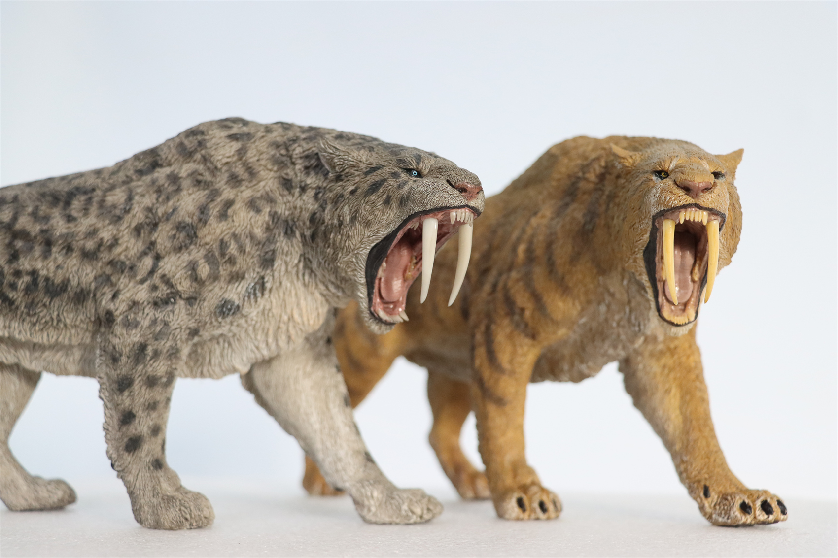 REBOR 1:11 Smilodon Populator Stray Cat Figure Ice Age Ver Plain Ver 2 Head Collector Toy Animal Model Christmas Decorations