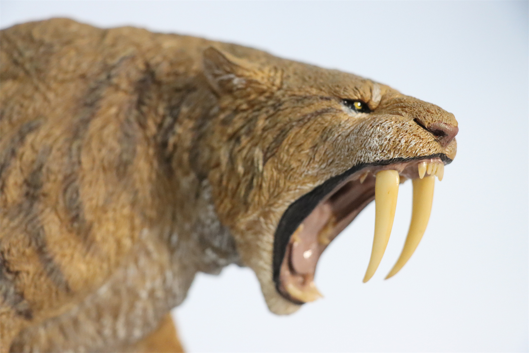 REBOR 1:11 Smilodon Populator Stray Cat Figure Ice Age Ver Plain Ver 2 Head Collector Toy Animal Model Christmas Decorations