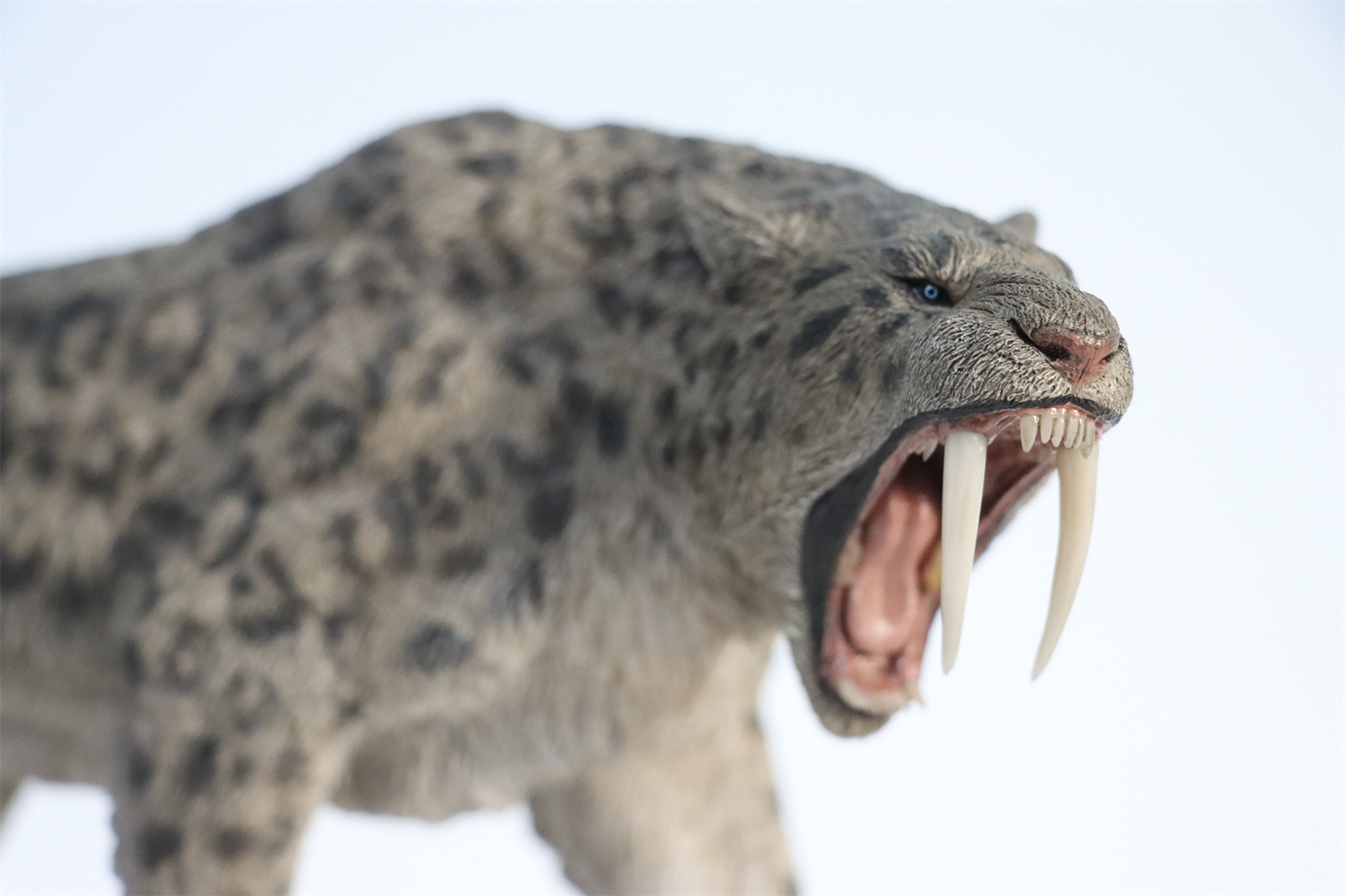 REBOR 1:11 Smilodon Populator Stray Cat Figure Ice Age Ver Plain Ver 2 Head Collector Toy Animal Model Christmas Decorations